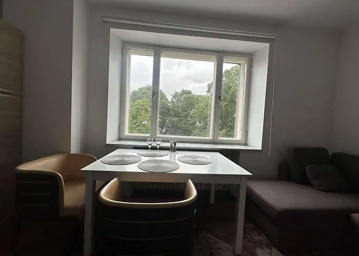 Center Comfort Πανσιόν Ταλίν